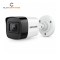 HikVision DS-2CE16D0T-ITPFS 2MP Audio Fixed Mini Bullet Camera